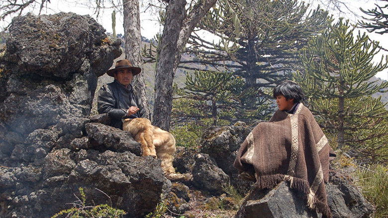 кадр из фильма Konün Wenu