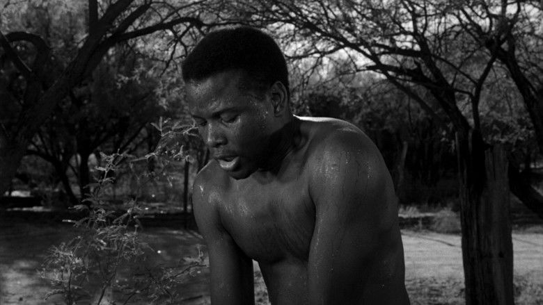 кадр из фильма Полевые лилии