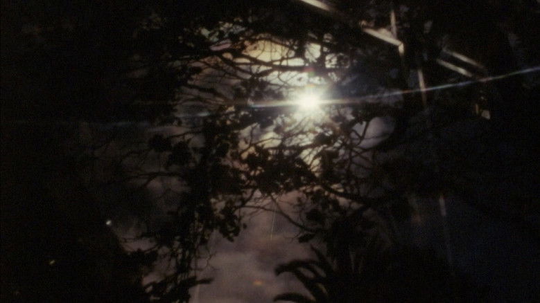 кадр из фильма The Return