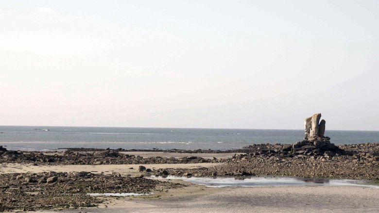 кадр из фильма Le grand cirque des marées