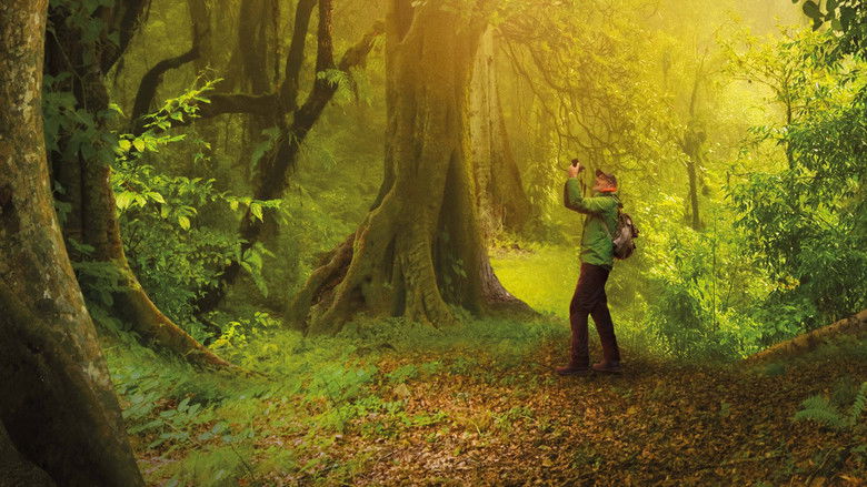 кадр из фильма Das geheime Leben der Bäume