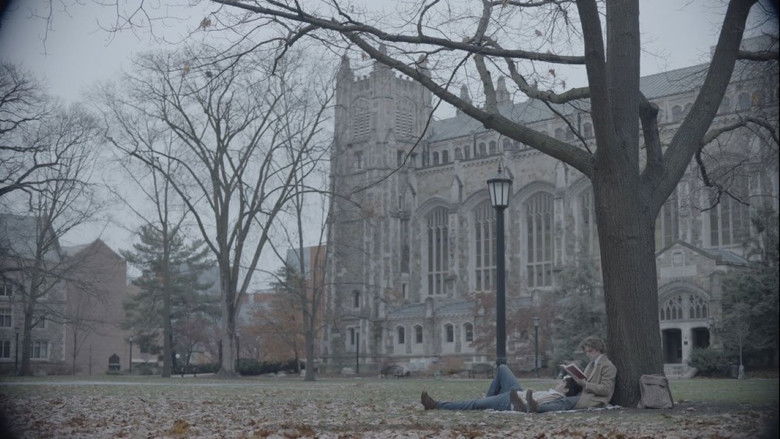 Who You Wanted All the Time