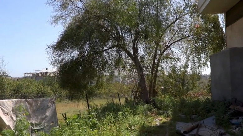 кадр из фильма جواهر