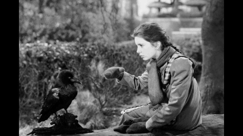 кадр из фильма The Secret Garden