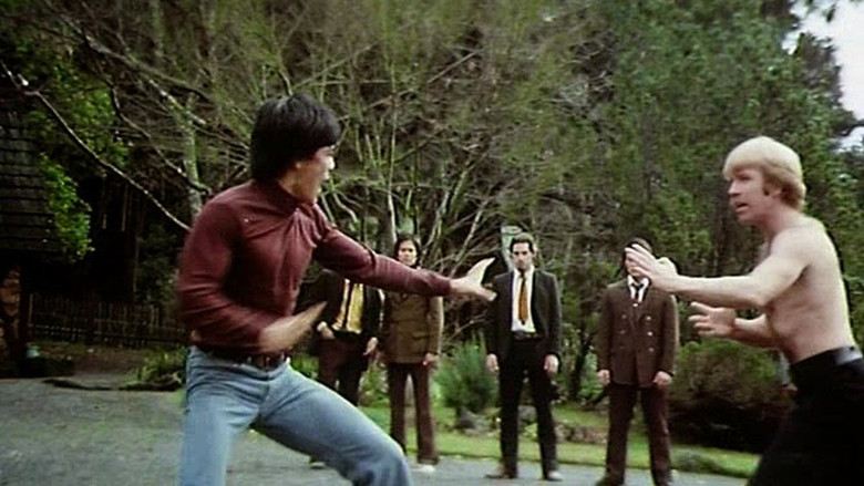 кадр из фильма 黃面老虎