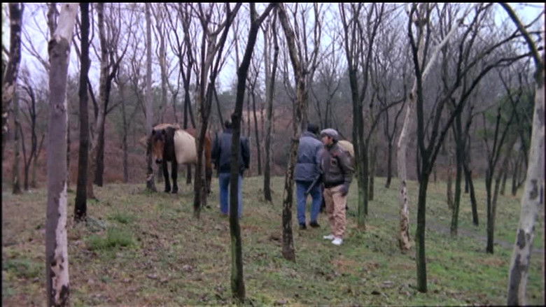 кадр из фильма 中华警花