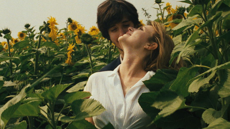 кадр из фильма O Último Mergulho