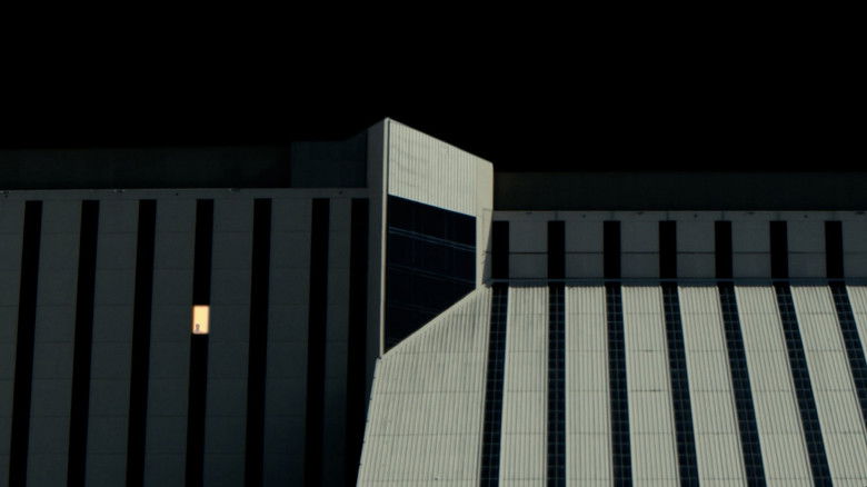 кадр из фильма Toxoplasma