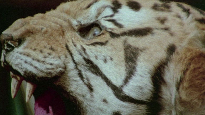 кадр из фильма Танцевальные па по лезвию бритвы