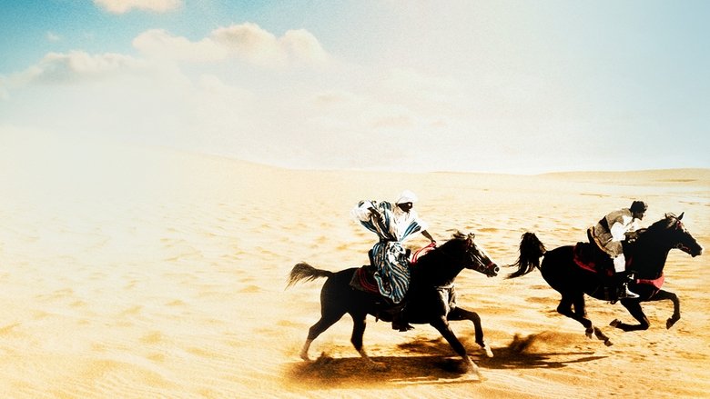 кадр из фильма Возвращение черного скакуна