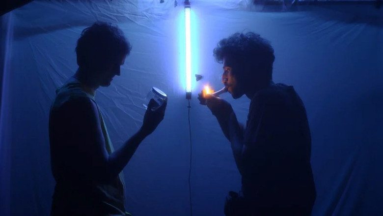 кадр из фильма Дымчатая долина