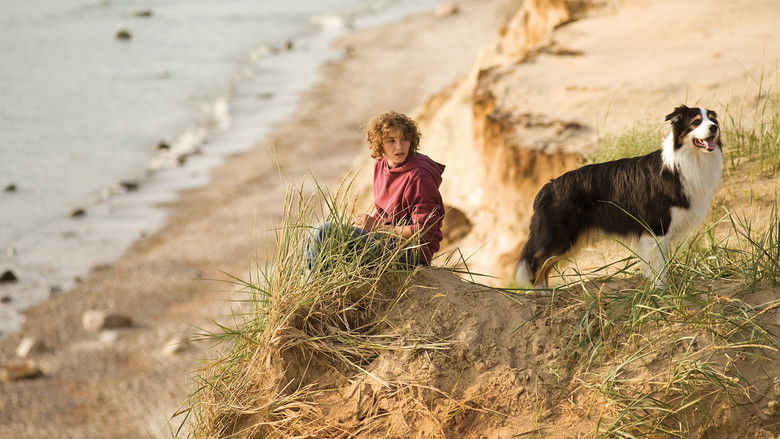 кадр из фильма Пятеро друзей