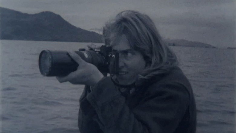 кадр из фильма Whales