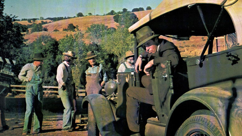 кадр из фильма The Moonshine War