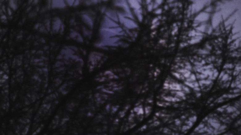 кадр из фильма Elms