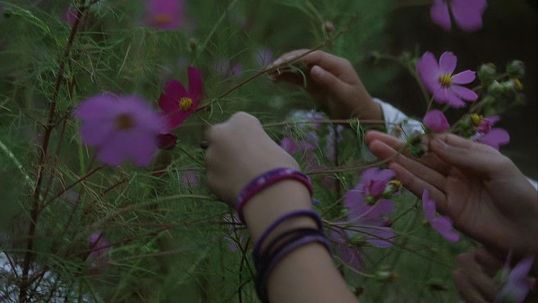 кадр из фильма Чудо