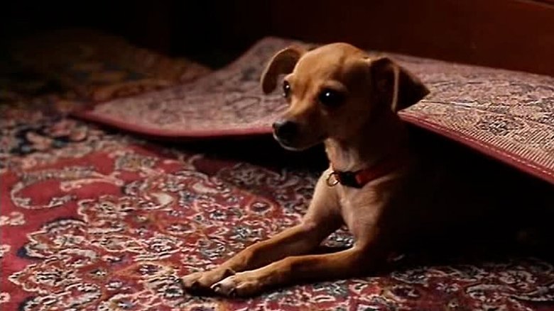 кадр из фильма Ко мне, Пинг!