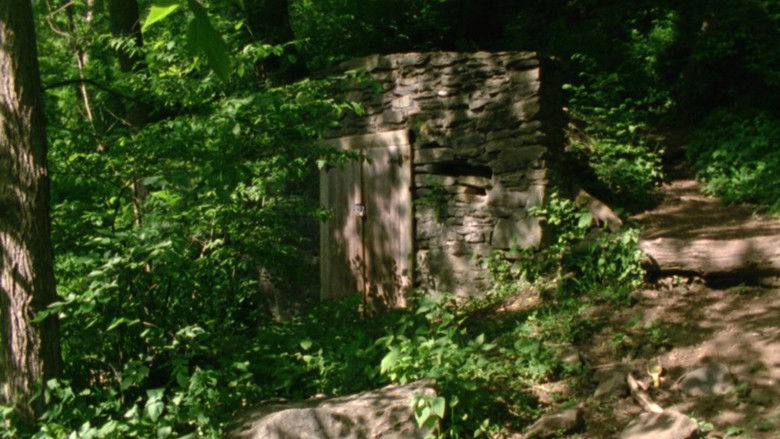 кадр из фильма When We Encounter the World