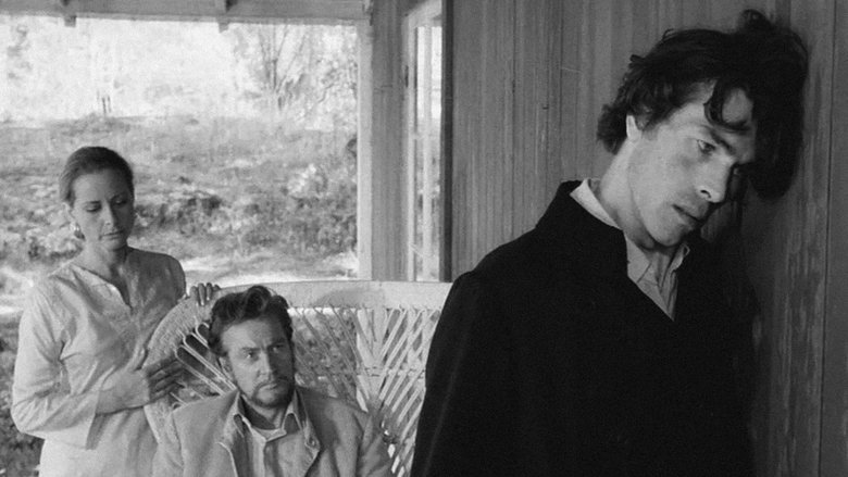 кадр из фильма Брат Карл