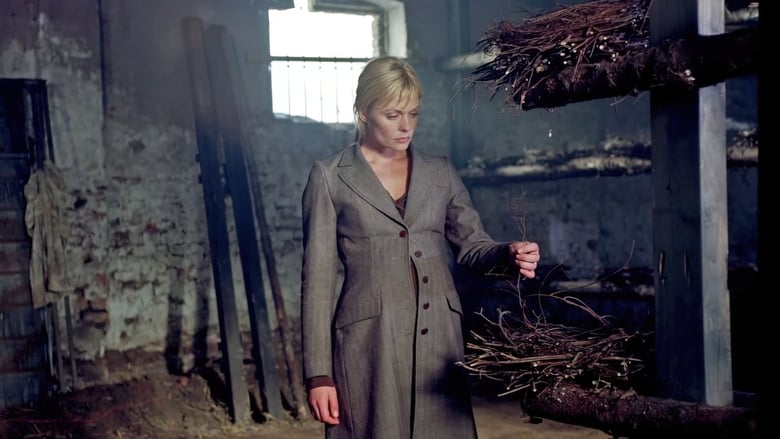 кадр из фильма Die Krähen