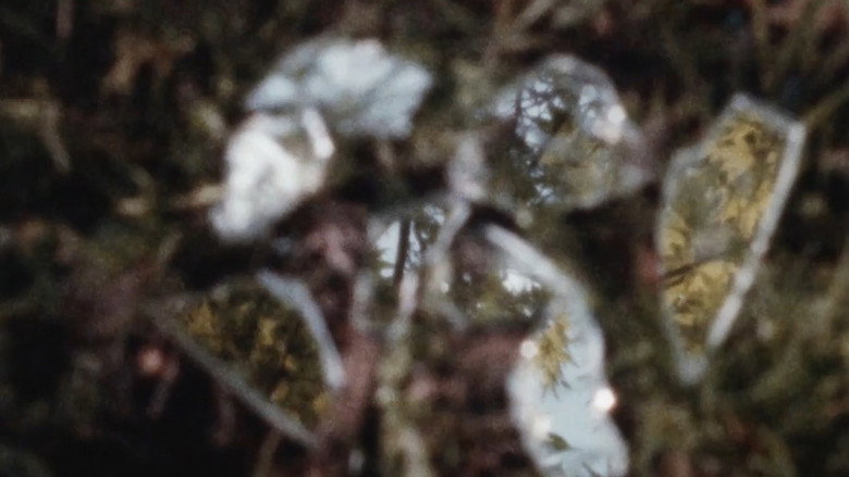 кадр из фильма 回路計