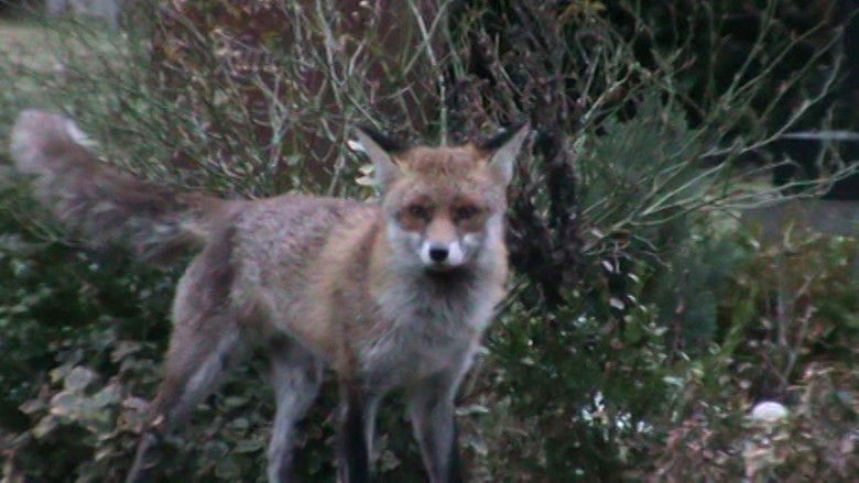 кадр из фильма Cascas