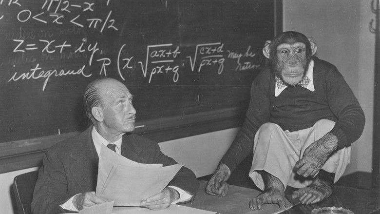 кадр из фильма Bonzo Goes to College