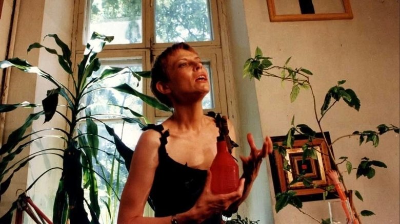 кадр из фильма Письмо в Америку