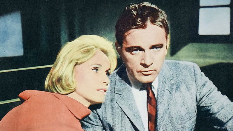 кадр из фильма Кулик