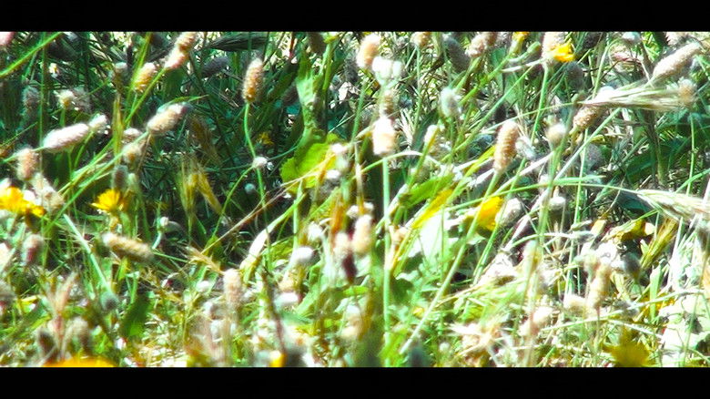 кадр из фильма Kinetic: The Art of Oneself