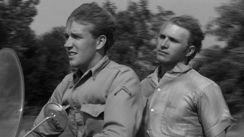 кадр из фильма Spring Night, Summer Night