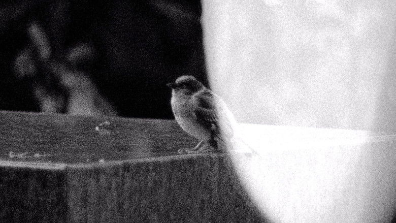 кадр из фильма 回巢必有因