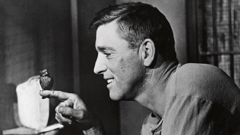 кадр из фильма Любитель птиц из Алькатраса