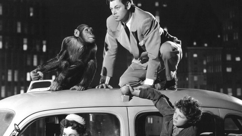 кадр из фильма Приключения Тарзана в Нью-Йорке