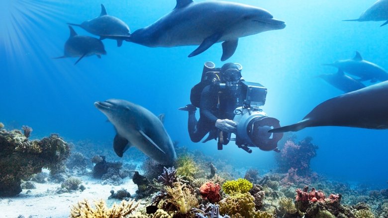 кадр из фильма Diving with Dolphins