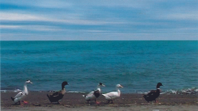 Пять. 5 длинных планов, посвященных Ясудзиро Одзу