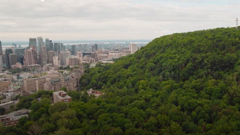 кадр из фильма Forêts urbaines