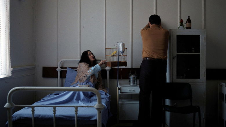 кадр из фильма Parçalı Yıllar