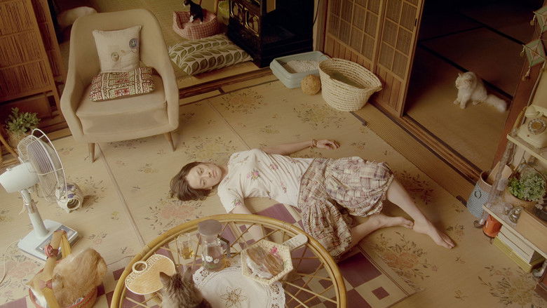 кадр из фильма Кошка напрокат