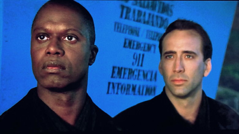 кадр из фильма Город ангелов