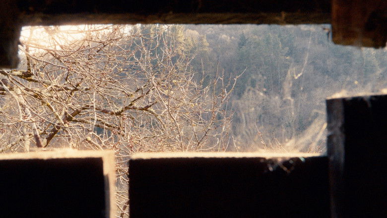 кадр из фильма O Baleiro