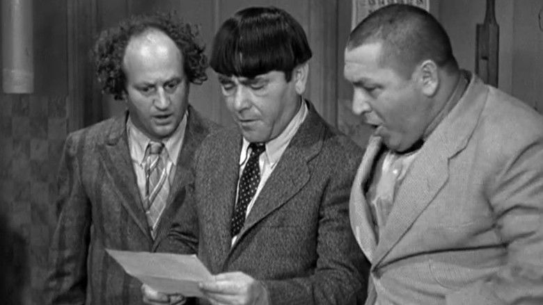 кадр из фильма Cactus Makes Perfect