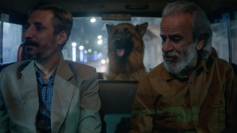 кадр из фильма মায়ানগর