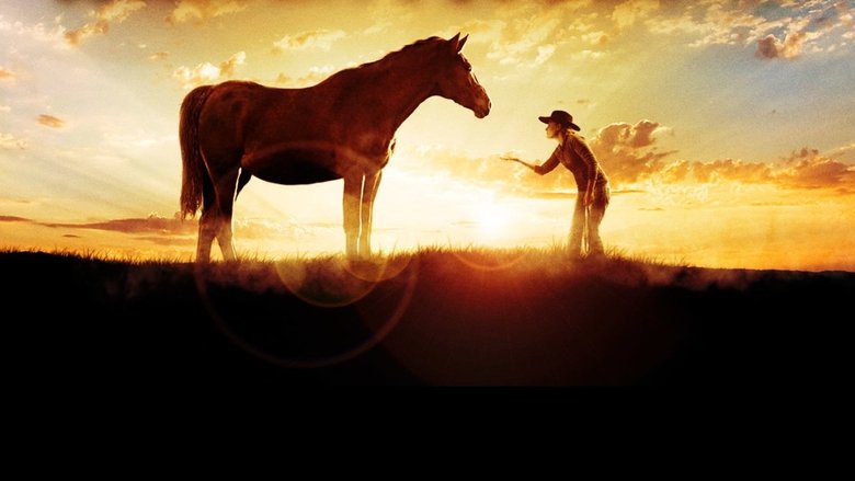 кадр из фильма The Wild Stallion