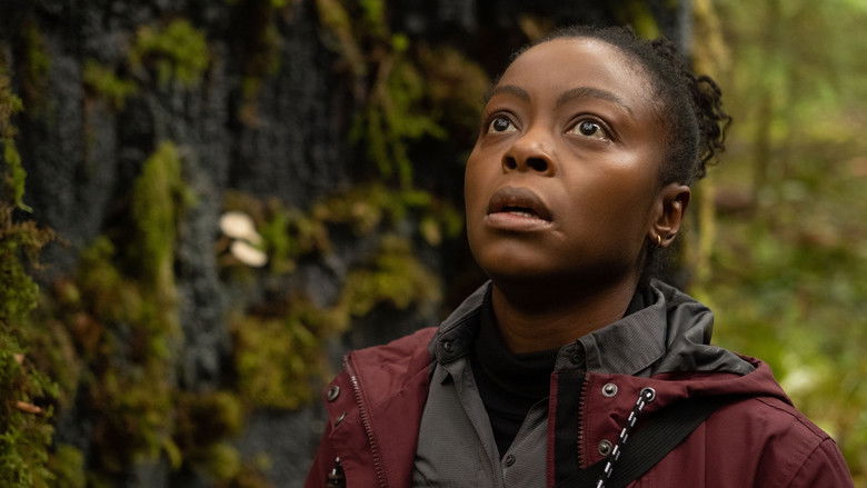 кадр из фильма Ошибка времени. Мультивселенная