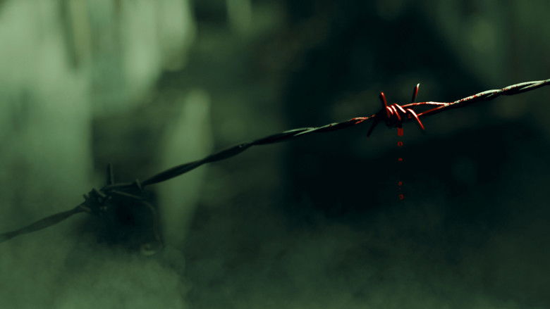 кадр из фильма Круг