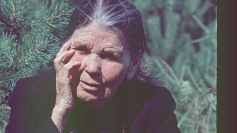 кадр из фильма Народ водоплавающей птицы