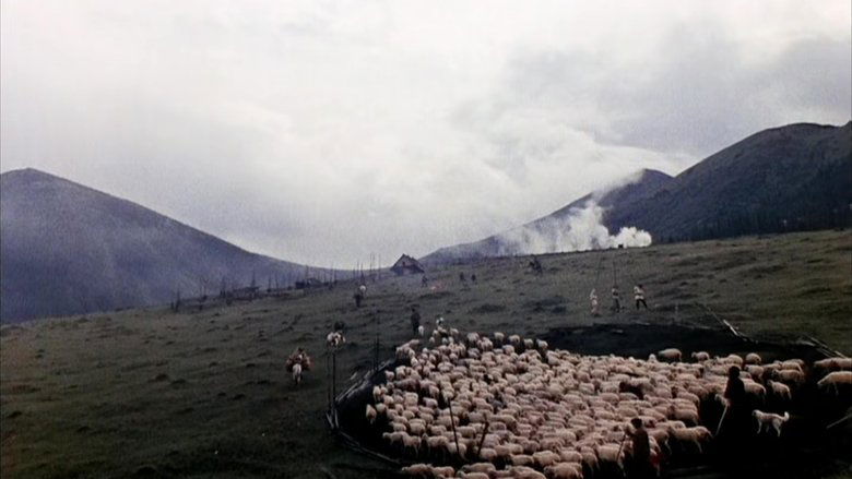 кадр из фильма Тени забытых предков