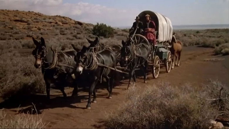 кадр из фильма Меткий и мёртвый