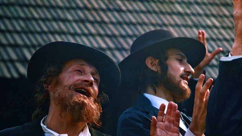 кадр из фильма Аустерия